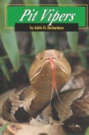 Cover of Pit Vipers