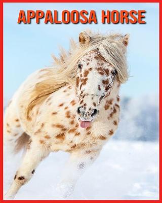 Book cover for Appaloosa Horse