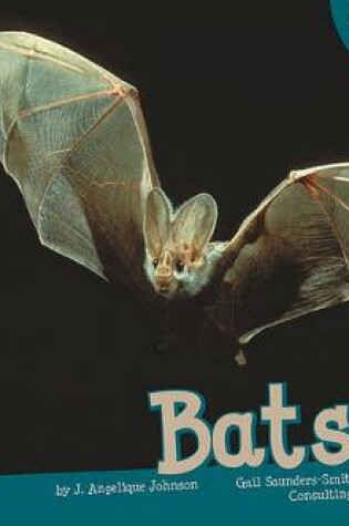 Cover of Bats