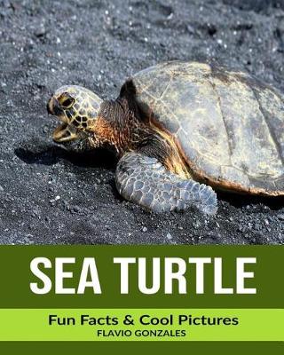 Book cover for Sea Turtle