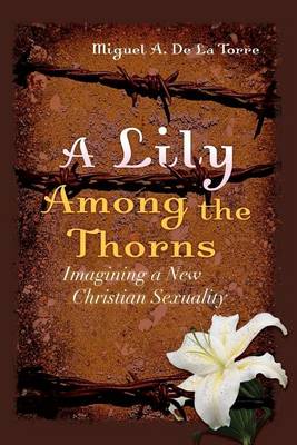 Book cover for A Lily Among the Thorns: Imagining a New Christian Sexuality