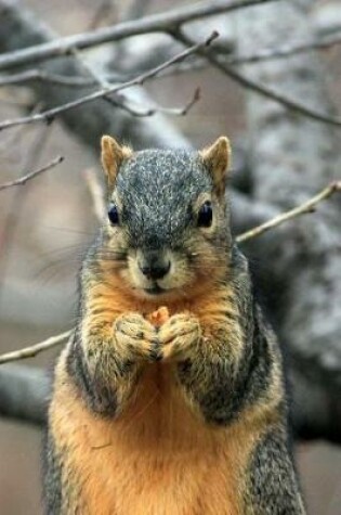 Cover of Crafty Squirrel Eating a Nut Journal