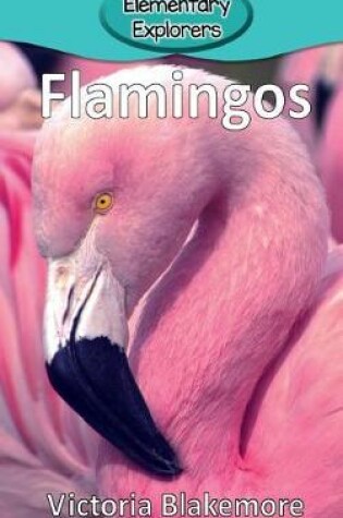 Cover of Flamingos