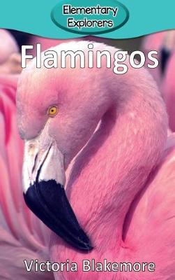 Cover of Flamingos