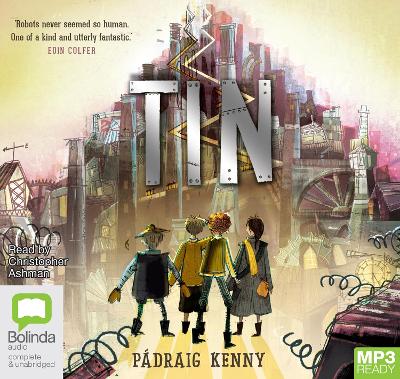Book cover for Tin