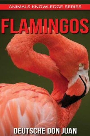 Cover of Flamingo