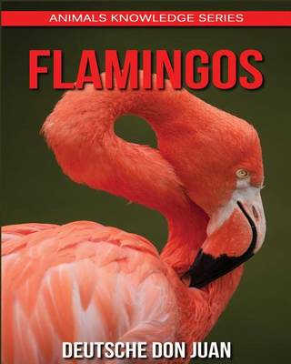 Book cover for Flamingo