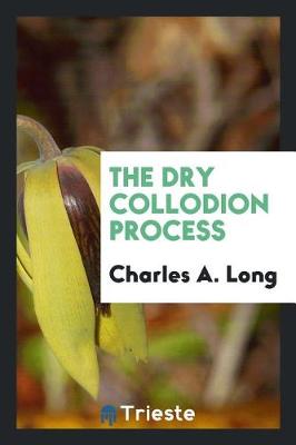 Book cover for The Dry Collodion Process