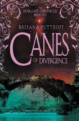 Book cover for Canes of Divergence