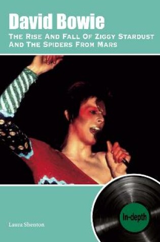 Cover of David Bowie The Rise And Fall Of Ziggy Stardust And The Spiders From Mars: In-depth