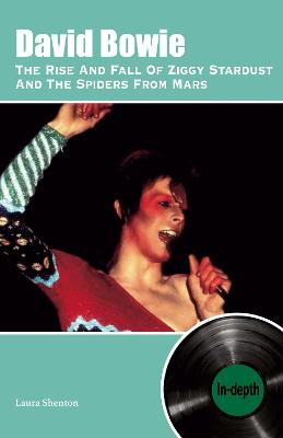 Book cover for David Bowie The Rise And Fall Of Ziggy Stardust And The Spiders From Mars: In-depth