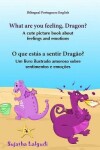 Book cover for Portuguese book