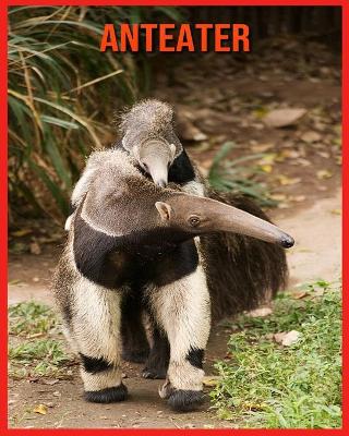 Book cover for Anteater