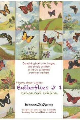 Cover of Butterflies #1 - Enhanced Coloring Book