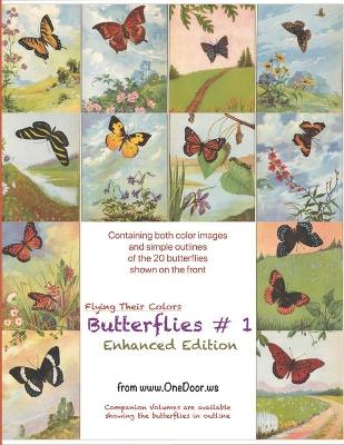 Cover of Butterflies #1 - Enhanced Coloring Book