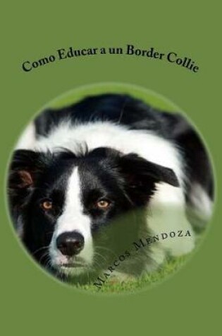 Cover of Como Educar a un Border Collie