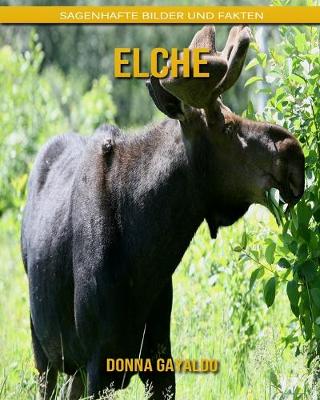 Book cover for Elche