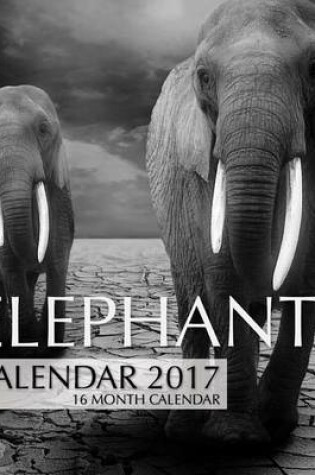 Cover of Elephants Calendar 2017