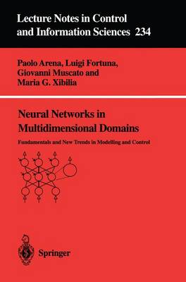 Cover of Neural Networks in Multidimensional Domains