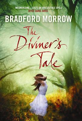 Book cover for The Diviner's Tale