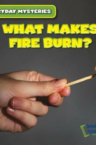 Cover of What Makes Fire Burn?