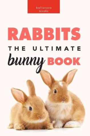 Cover of Rabbits