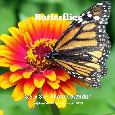 Book cover for Butterflies 8.5 X 8.5 Photo Calendar September 2019 -December 2020