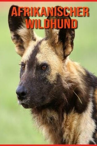 Cover of Afrikanischer Wildhund