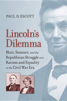 Book cover for Lincoln's Dilemma