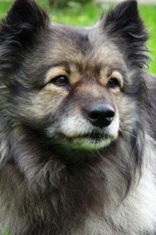 Cover of A Keeshond Dog Relaxing in the Grass Journal