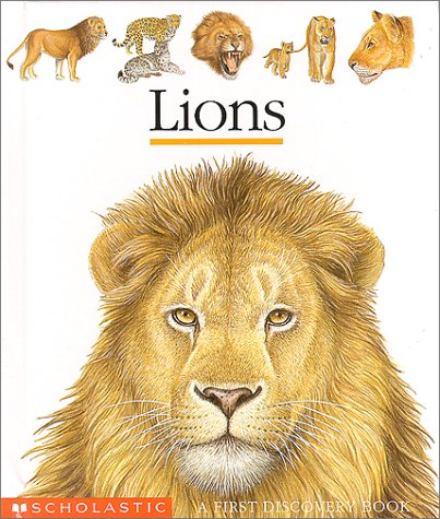 Book cover for Lions