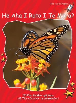 Book cover for What's in the Garden? te reo Māori - He Aha Kei Roto I Te Maara?