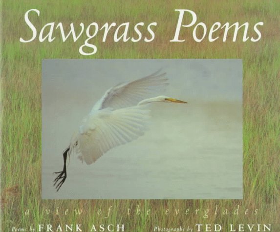 Book cover for Sawgrass Poems