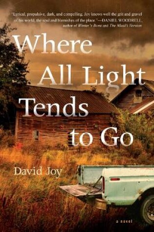 Cover of Where All Light Tends To Go