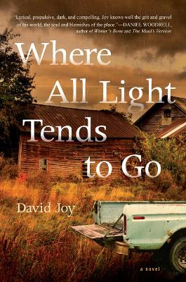 Book cover for Where All Light Tends To Go