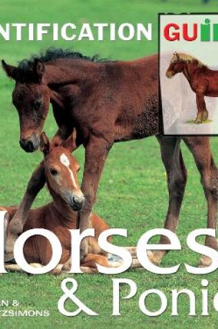 Cover of Horses & Ponies