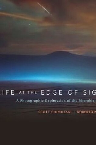 Cover of Life at the Edge of Sight