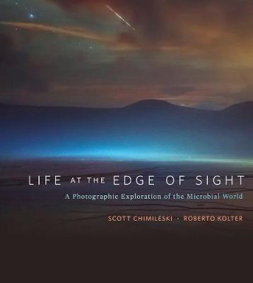 Book cover for Life at the Edge of Sight