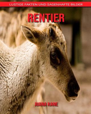 Book cover for Rentier