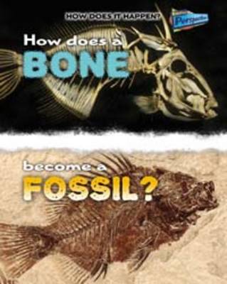 Book cover for How Does a Bone Become a Fossil?