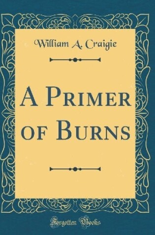 Cover of A Primer of Burns (Classic Reprint)