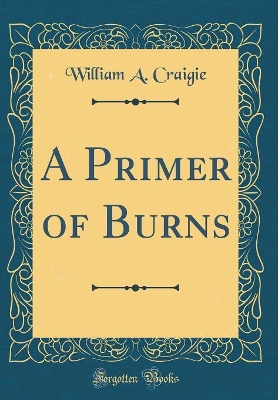 Book cover for A Primer of Burns (Classic Reprint)