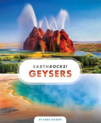 Book cover for Geysers