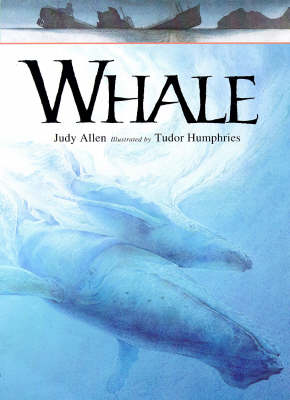 Book cover for Whale