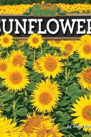 Cover of Sunflower