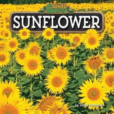 Book cover for Sunflower