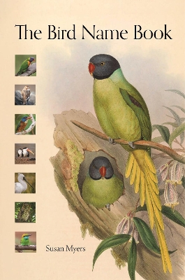 Book cover for The Bird Name Book