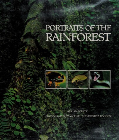 Book cover for Portraits of the Rainforest