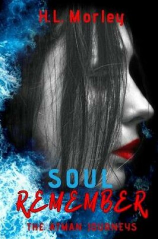 Cover of Soul Remember