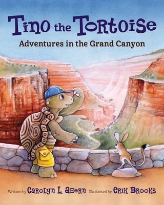 Book cover for Tino the Tortoise